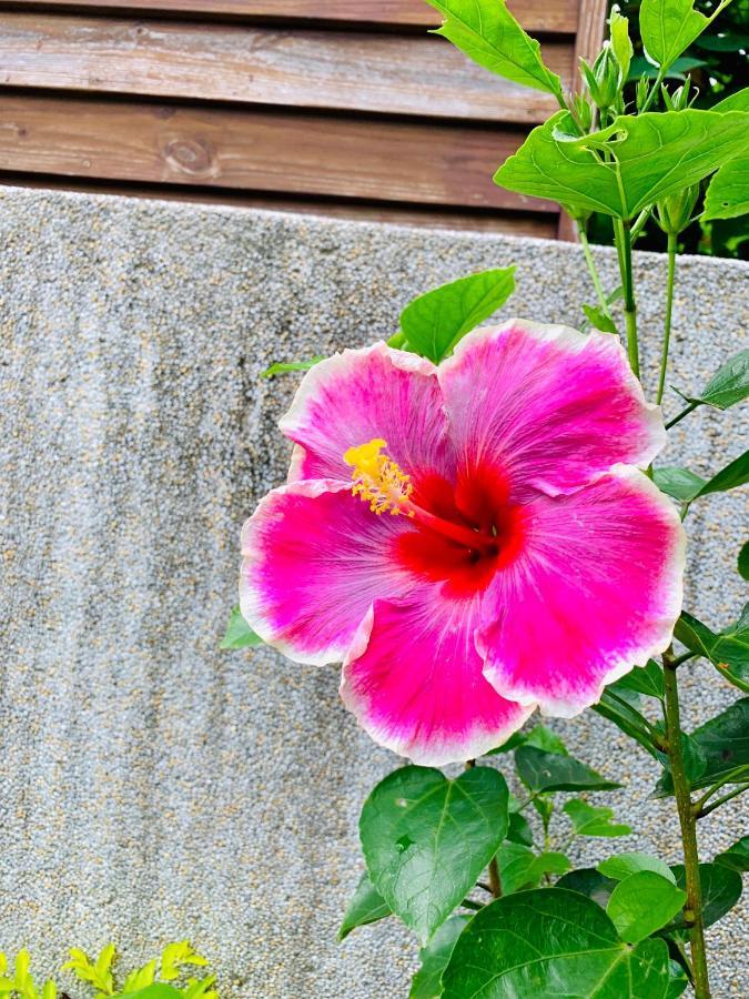 Jifun Flower Meanings จี๋อัน ภายนอก รูปภาพ