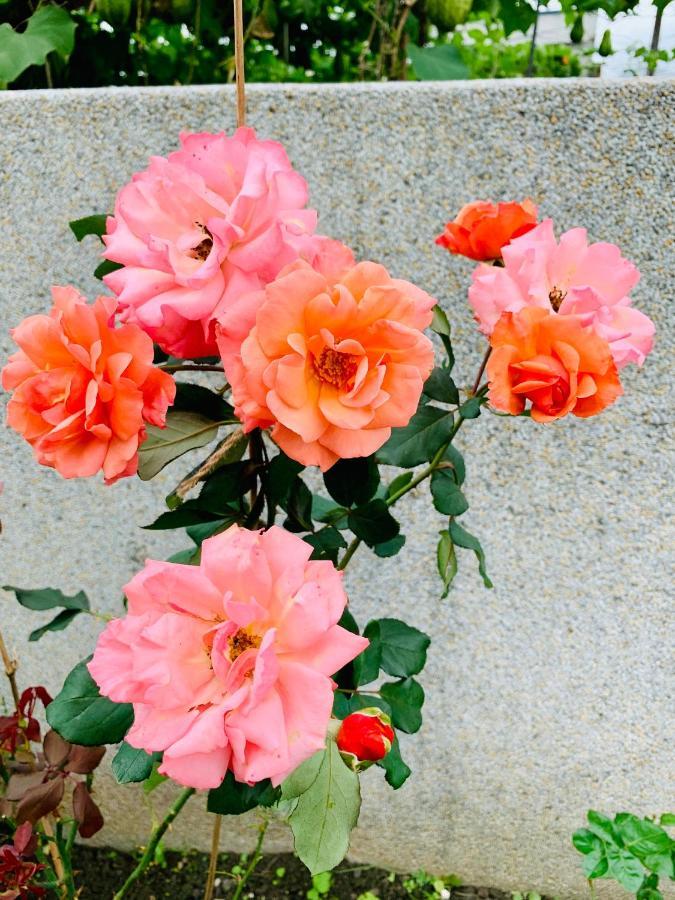 Jifun Flower Meanings จี๋อัน ภายนอก รูปภาพ